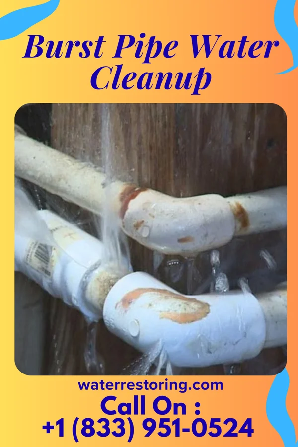 Burst Pipe Water Cleanup in Tecumseh, IN
