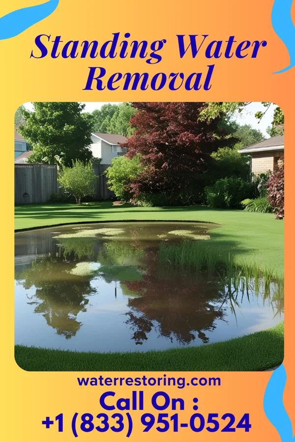 Standing Water Removal in Tecumseh, IN